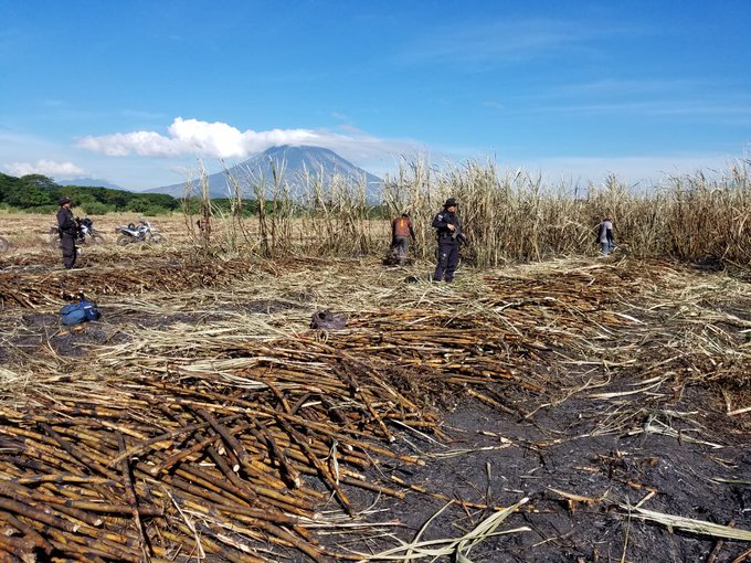 PNC brinda seguridad a trabajadores agrícolas mediante el #PlanControlTerritorial pnc-brinda-seguridad-a-trabajadores-agricolas-mediante-el-plancontrolterritorial